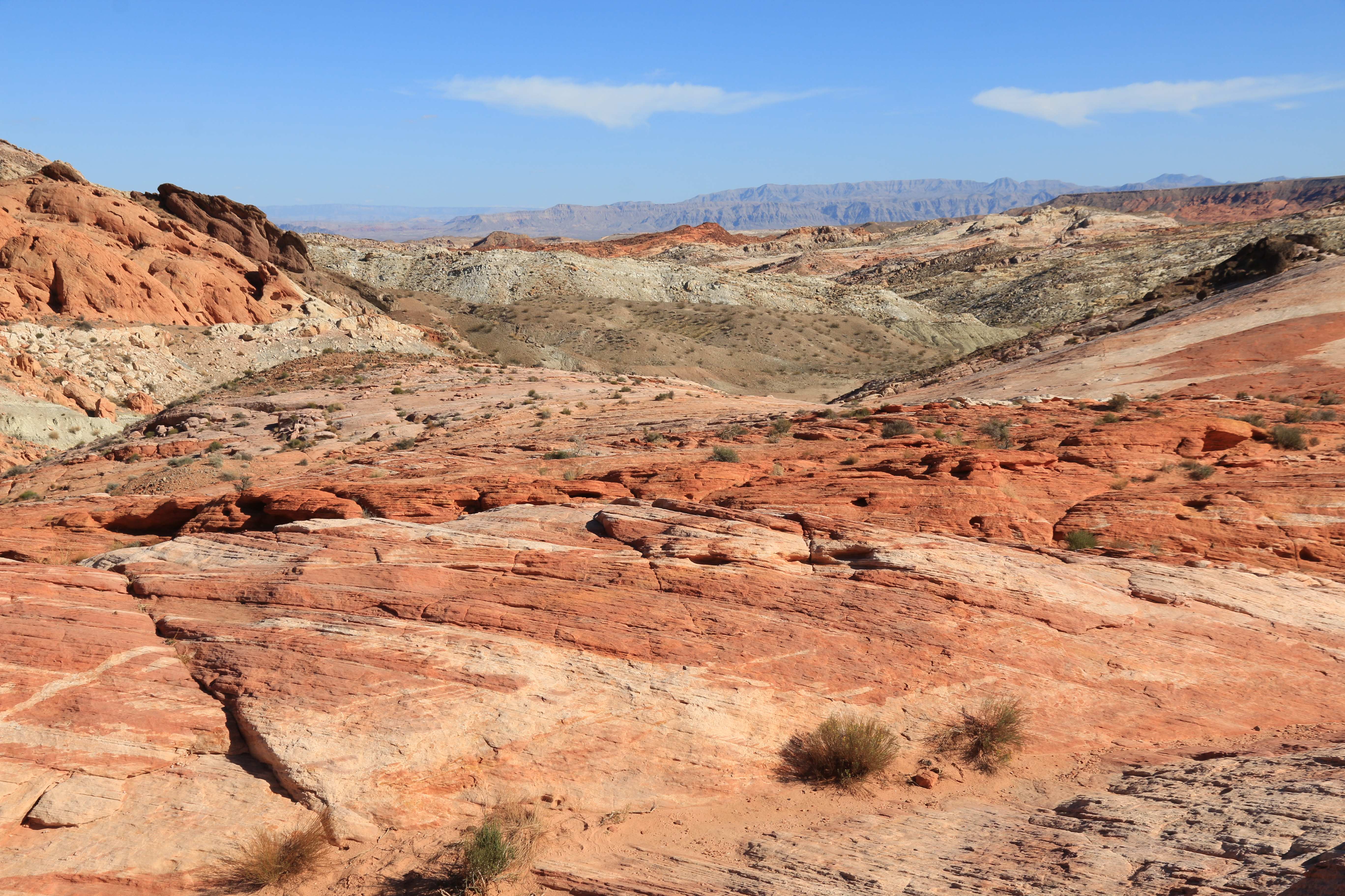 Nevada
